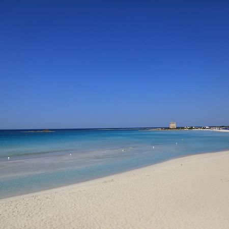 بورتو سيساريو B&B Edonic المظهر الخارجي الصورة